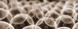 Anti-Oxidizing